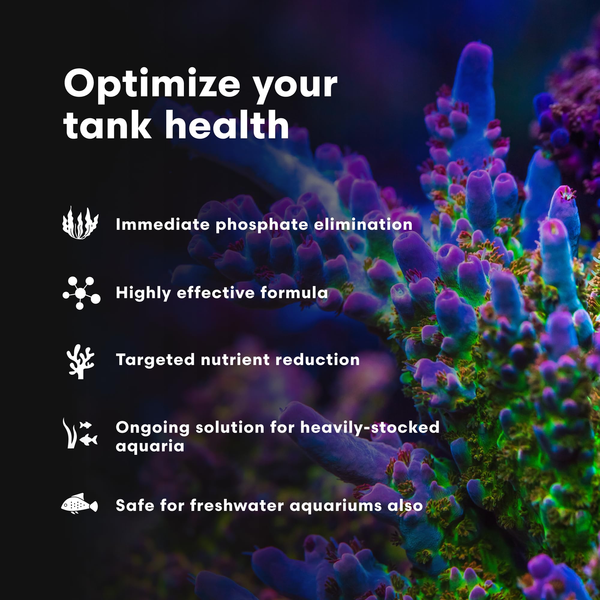 Brightwell Aquatics Phosphat-E Liquid Phosphate Remover for Marine Fish and Reef Aquariums - Aquarium Water Treatments, 16.9 fl